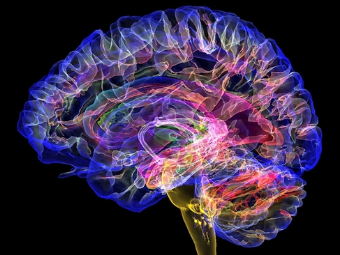 操屄照片大脑植入物有助于严重头部损伤恢复